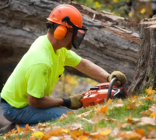 tree services Skyline Acres